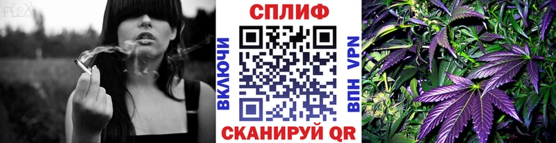 Как найти наркотики Нолинск APVP  Меф  ЭКСТАЗИ  COCAIN  Гашиш 